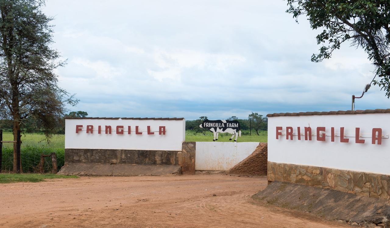 Fringilla Lodge Chisamba Zewnętrze zdjęcie
