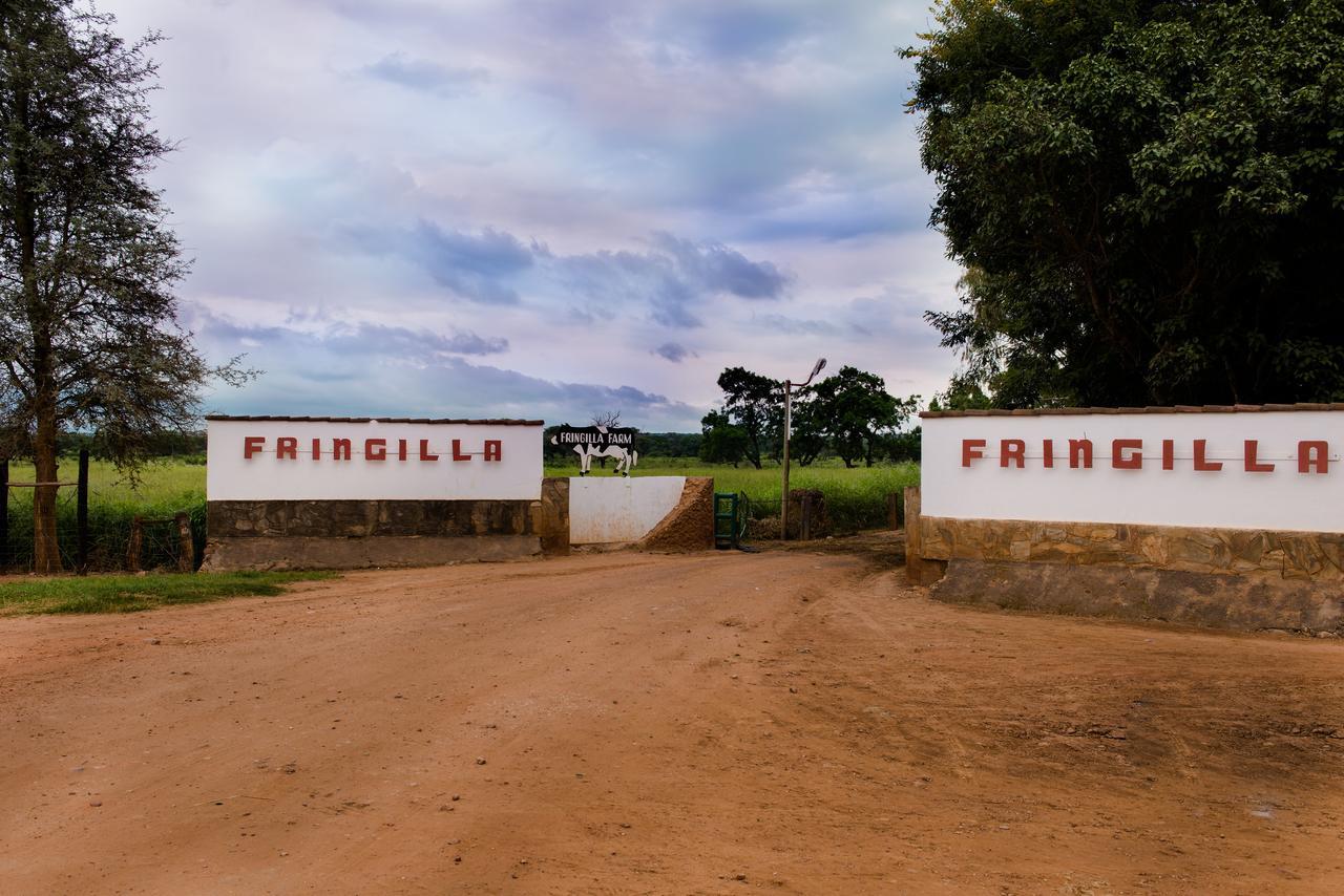 Fringilla Lodge Chisamba Zewnętrze zdjęcie